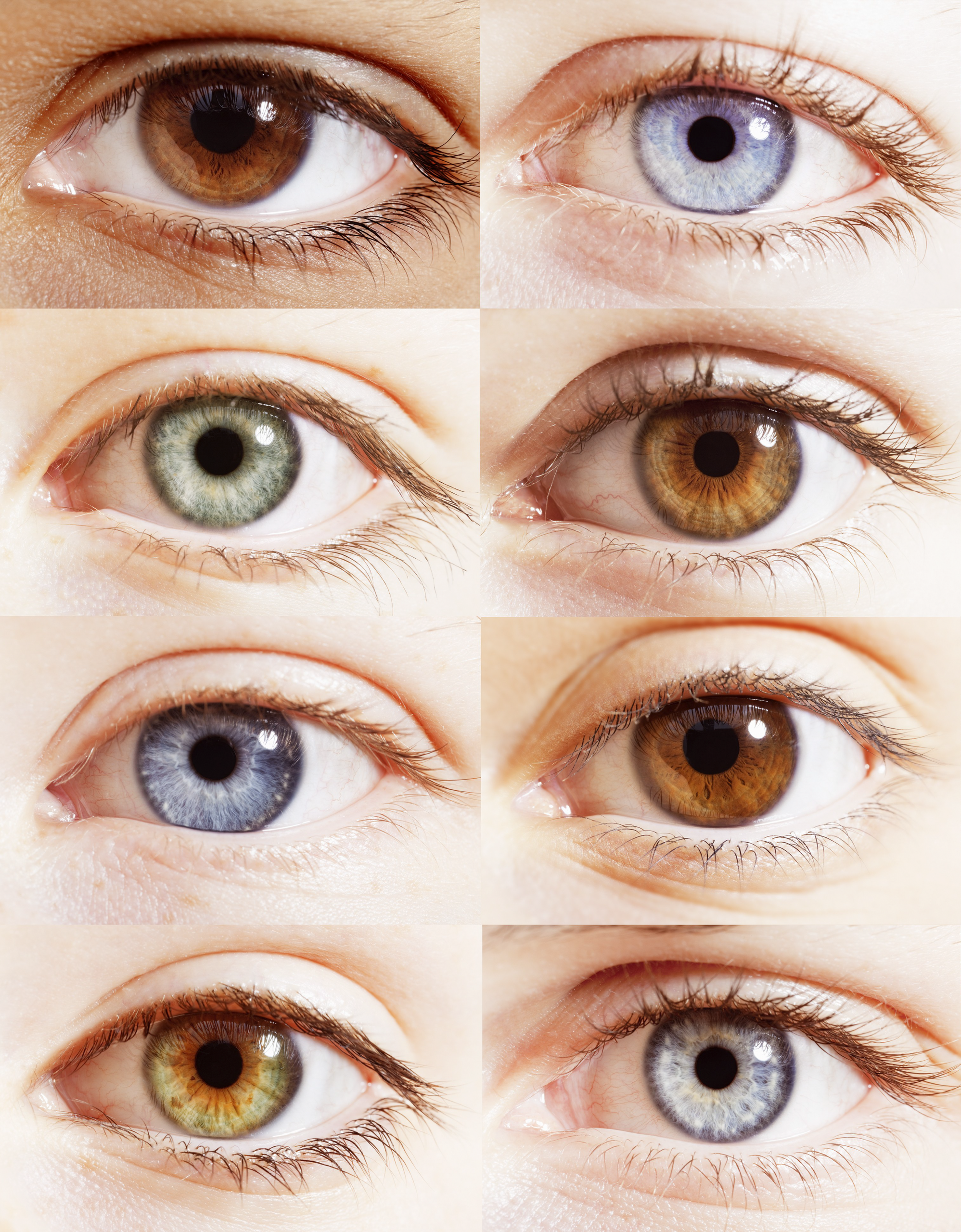 Próteses Oculares